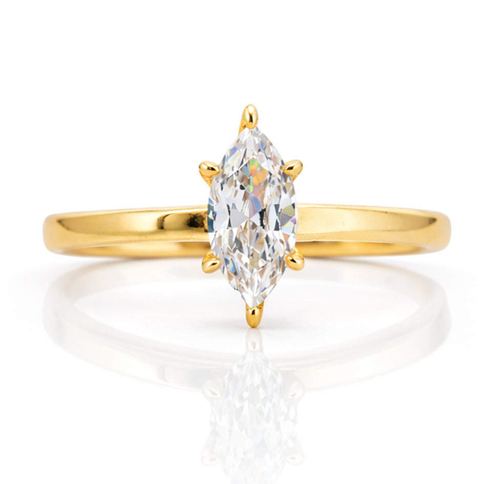 Belle Marquise