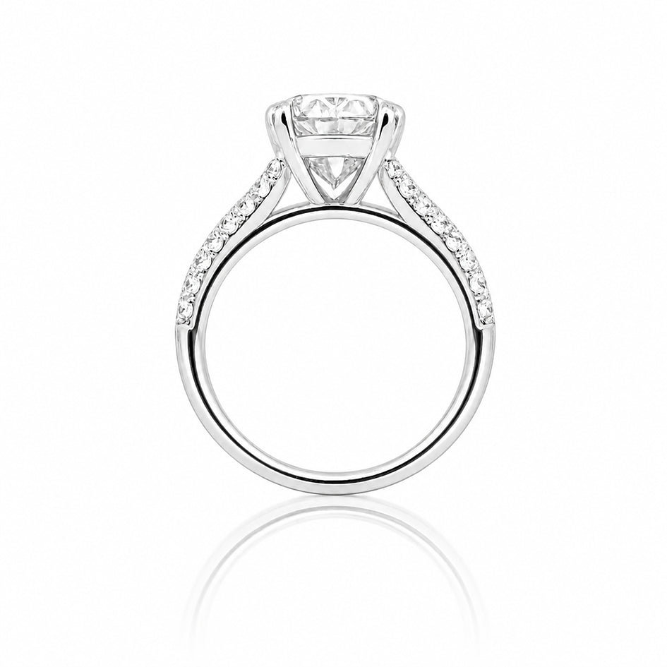 Pristella Ring