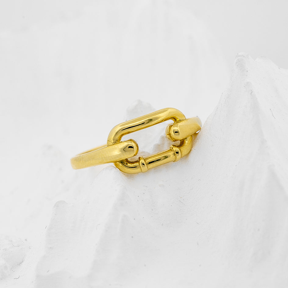 Linked Harmony Ring