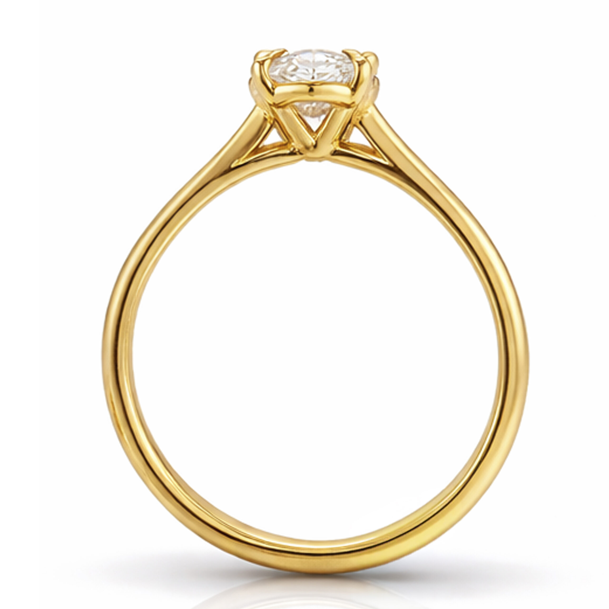 Velyn Ring (Lab) – Bild 4